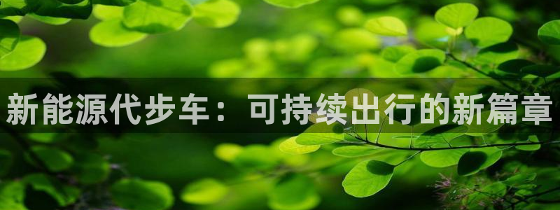 新宝gg手机版下载:新能源代步车:可持续出行的新篇章