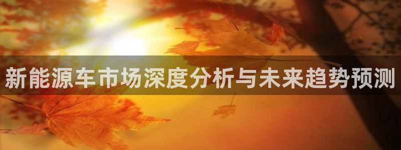 新宝gg游戏平台