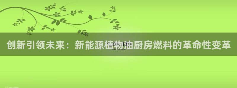 新宝gg创造奇迹登陆:创新引领未来:新能源植物油厨房燃料的革