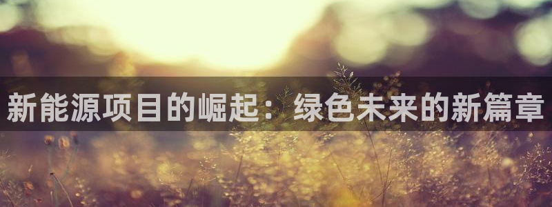 新宝gg如何注册登录：新能源项目的崛起：