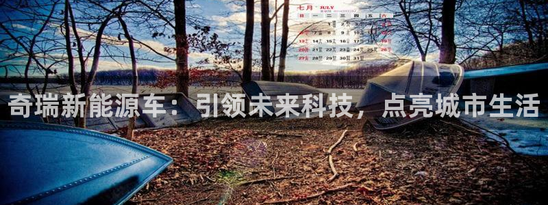 新宝gg平台下载安装