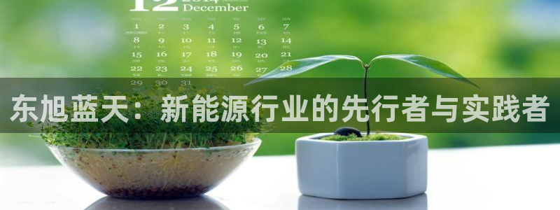 新宝GG 黑钱:东旭蓝天:新能源行业的先行者与实践者