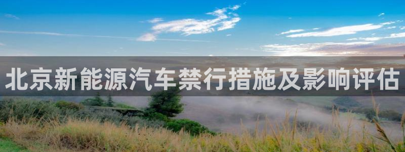 新宝+gg+登录:北京新能源汽车禁行措施及影响评估