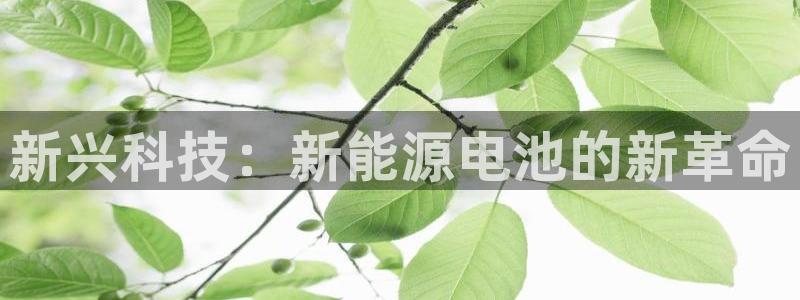 www.新宝gg:新兴科技:新能源电池的新革命
