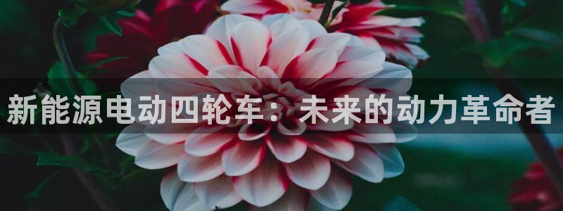 新宝gg注册登录:新能源电动四轮车:未来的动力革命者