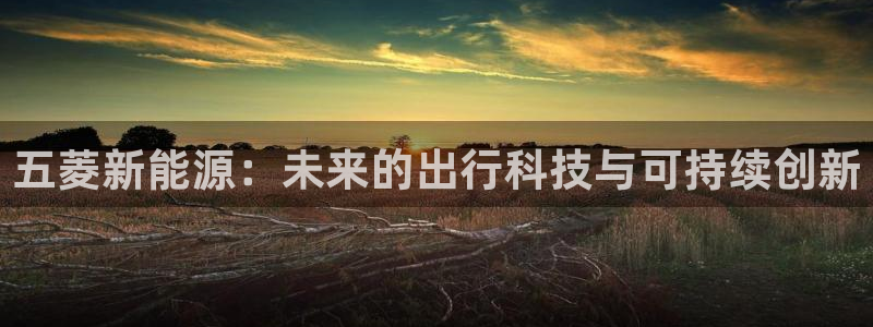 新宝gg主管花木兰:五菱新能源:未来的出行科技与可持续创新