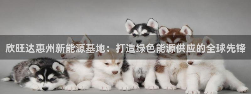 新宝6新宝gg:欣旺达惠州新能源基地:打造绿色能源供应的全球