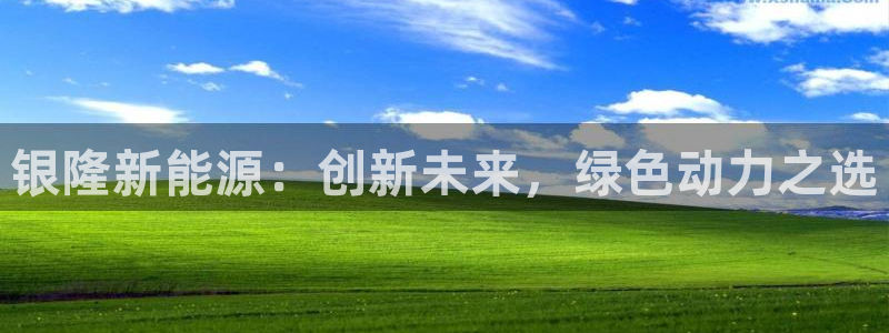 新宝gg如何赚钱：银隆新能源：创新未来，