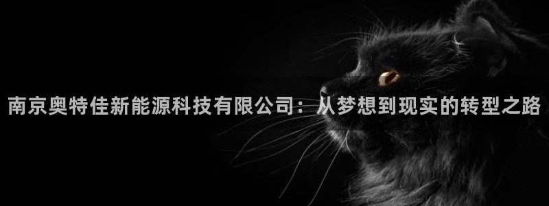 新宝gg娱乐注册-全芏网:南京奥特佳新能源科技有限公司:从梦