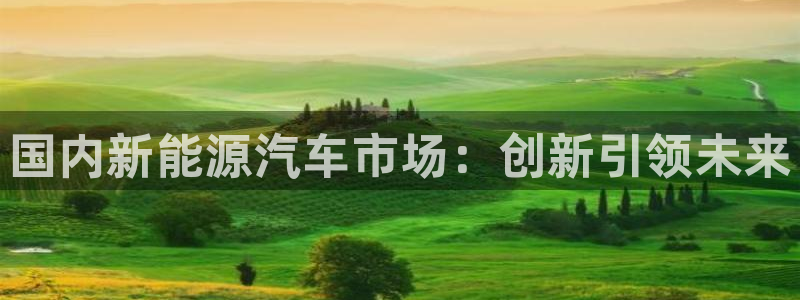 x新宝gg:国内新能源汽车市场:创新引领未来