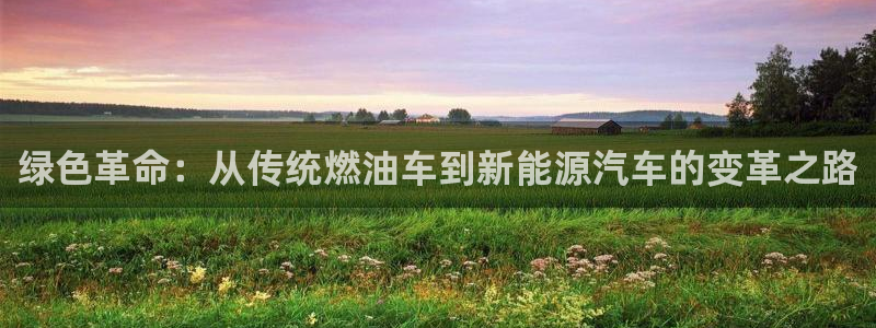 网站是新宝gg:绿色革命:从传统燃油车到新能源汽车的变革之路