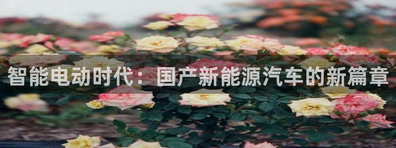 新宝gg试玩:智能电动时代:国产新能源汽车的新篇章