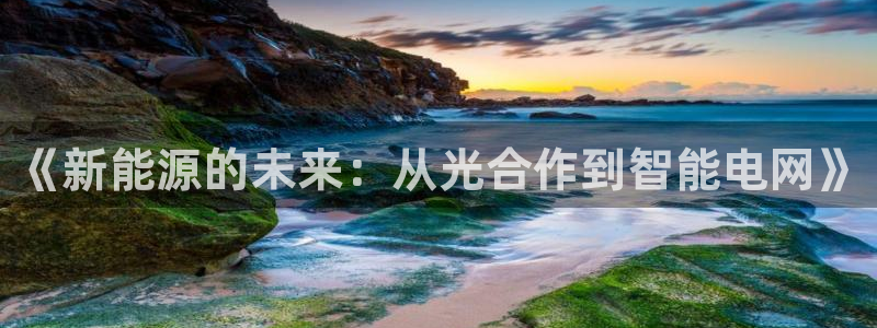 新宝GG—创造奇迹:《新能源的未来:从光合作到智能电网》