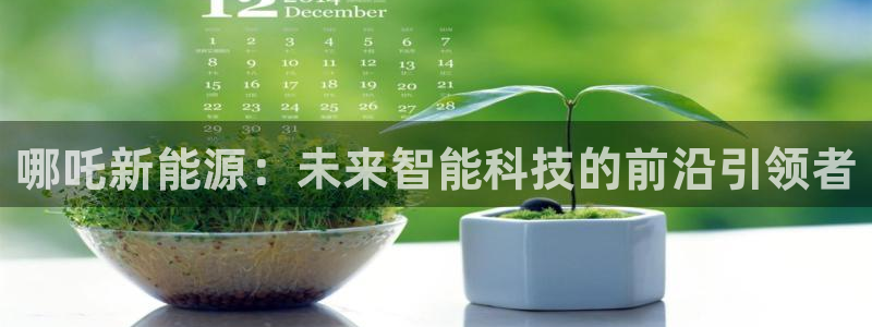 新宝gg赞颂63390:哪吒新能源:未来智能科技的前沿引领者