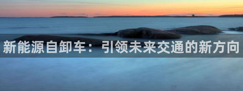 新宝GG无法充值