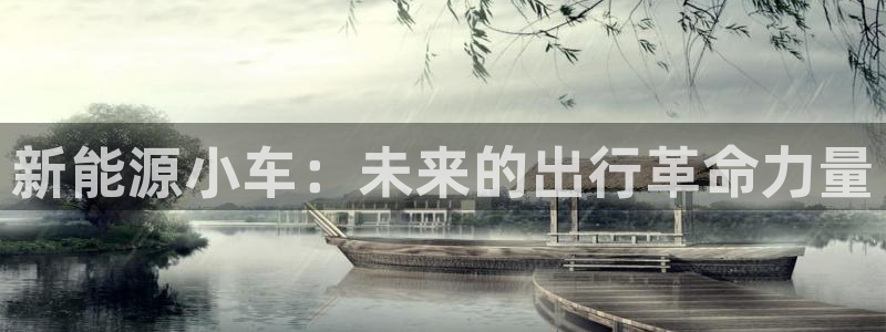 新宝GG寥78778：新能源小车：未来的