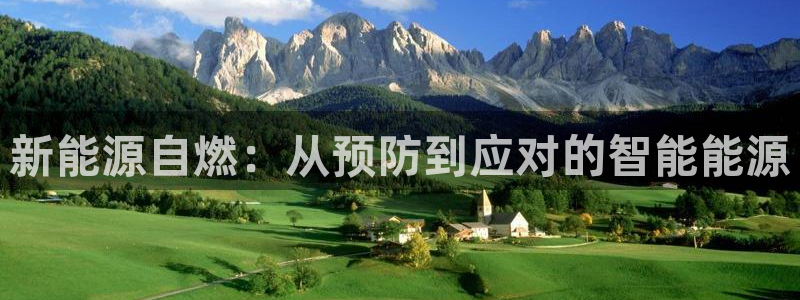 新宝gg网娱乐：新能源自燃：从预防到应对