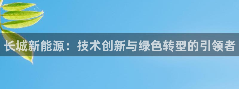新宝gg 039：长城新能源：技术创新与