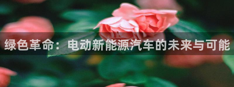 新宝gg娱乐注册全芏网：绿色革命：电动新