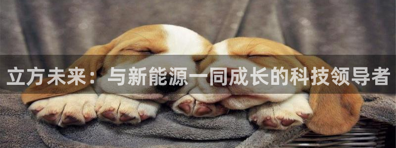 新宝gg注册1956：立方未来：与新能源