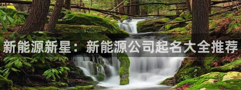 新宝gg至55312：新能源新星：新能源