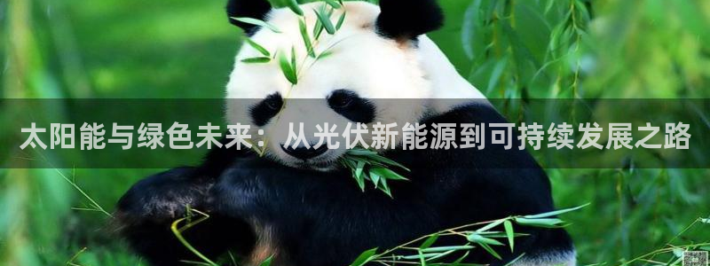 太阳gg和新宝gg：太阳能与绿色未来：从
