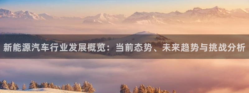 新宝6新宝gg：新能源汽车行业发展概览：