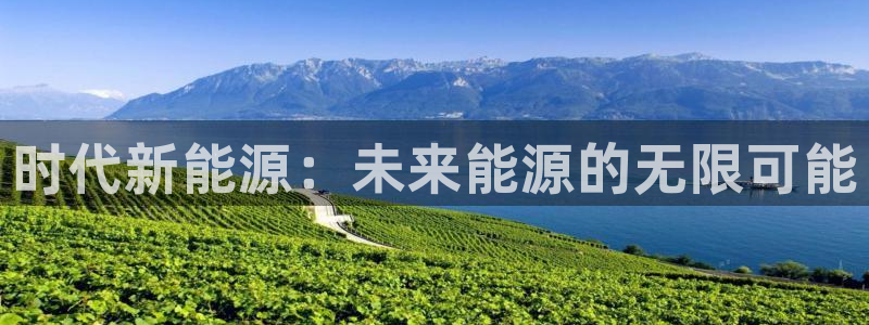 下载新宝gg：时代新能源：未来能源的无限