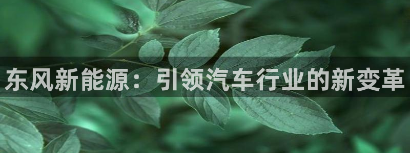 新宝gg注册登录网址：东风新能源：引领汽