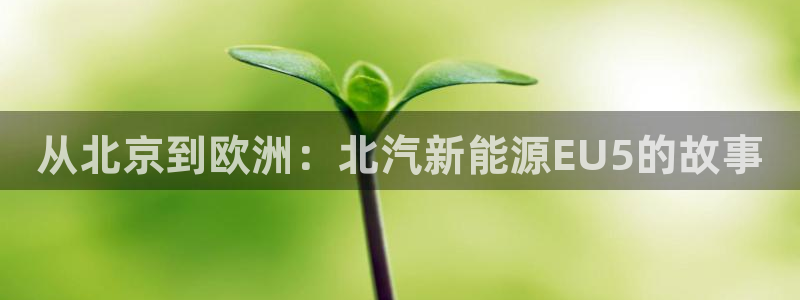 新宝GG娱乐-上皇巢网：从北京到欧洲：北