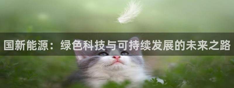 新宝gg平台gg登录gg网址：国新能源：