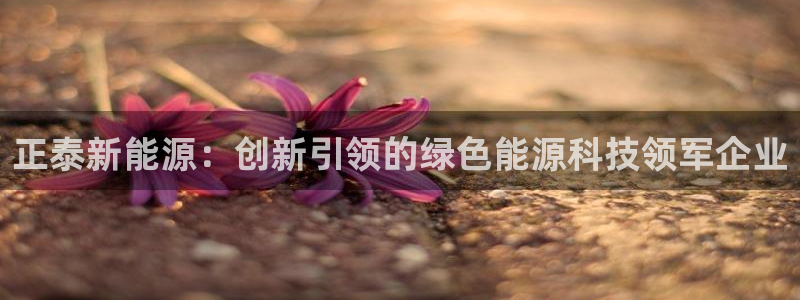 新宝 gg 下载：正泰新能源：创新引领的