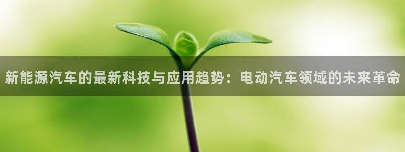 新宝gg挣钱：新能源汽车的最新科技与应用