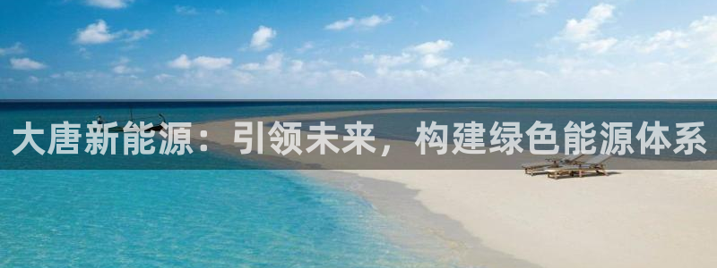 新宝GG询问29999：大唐新能源：引领