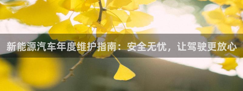 新宝奇迹GG：新能源汽车年度维护指南：安