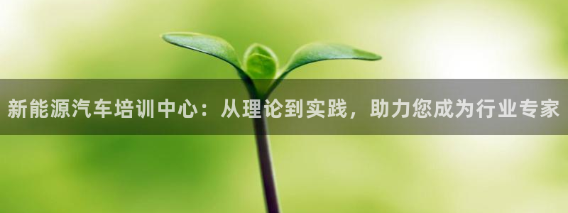 新宝GG氯78778：新能源汽车培训中心