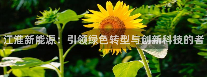 新宝.gg：江淮新能源：引领绿色转型与创